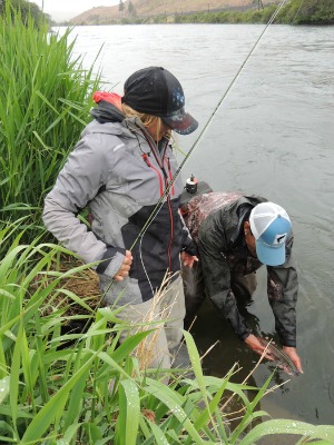 Kirk releases a deschutes rainbow.jpg